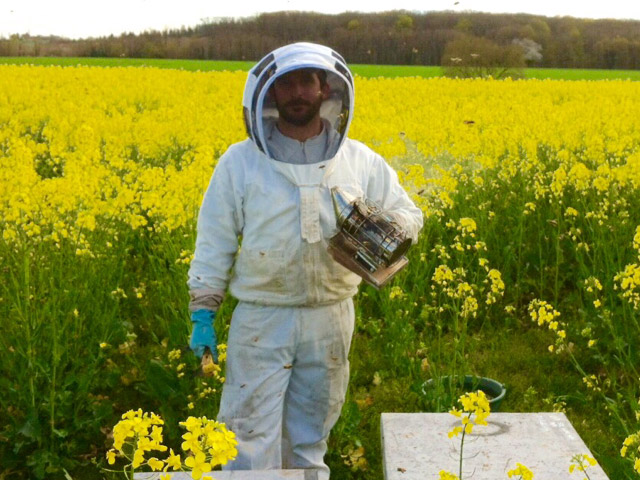 Des Milliers d’Abeilles Des Milliers d’Abeilles