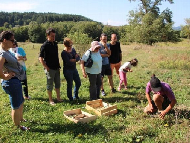 Les Sens en Herbe Les Sens en Herbe