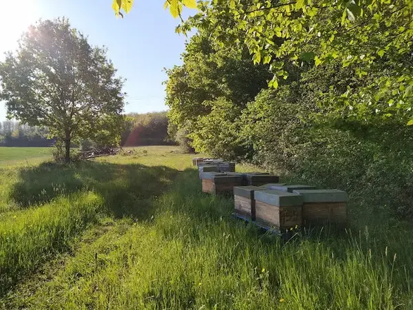 GAEC Noir d’Abeilles