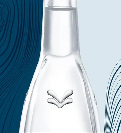 SAS des Eaux de ST Géron